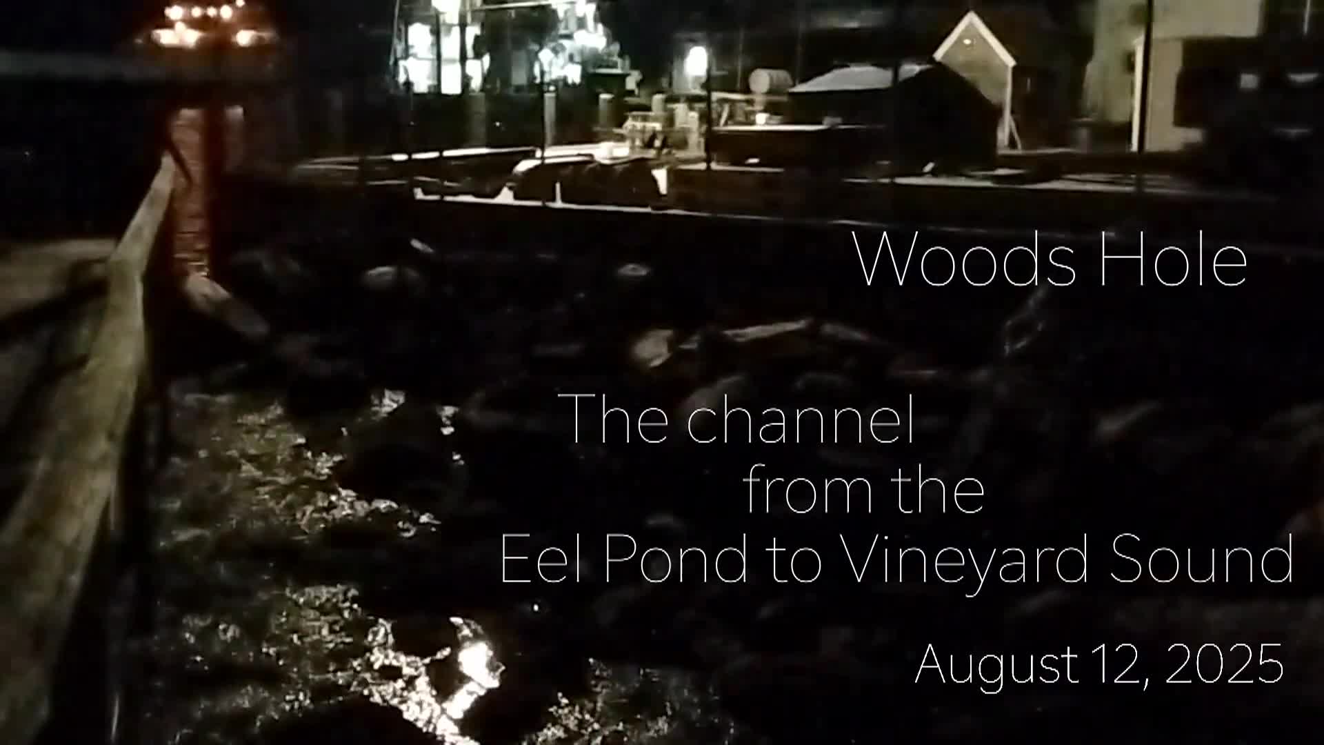 Thumbnail image for Ripples by Eugenie Kuffler