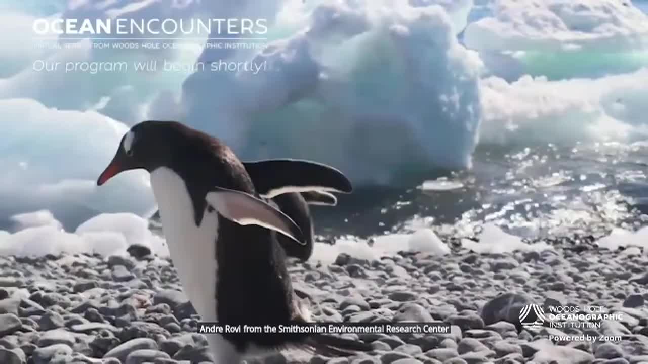 Thumbnail image for Ocean Encounters; Vital Coasts