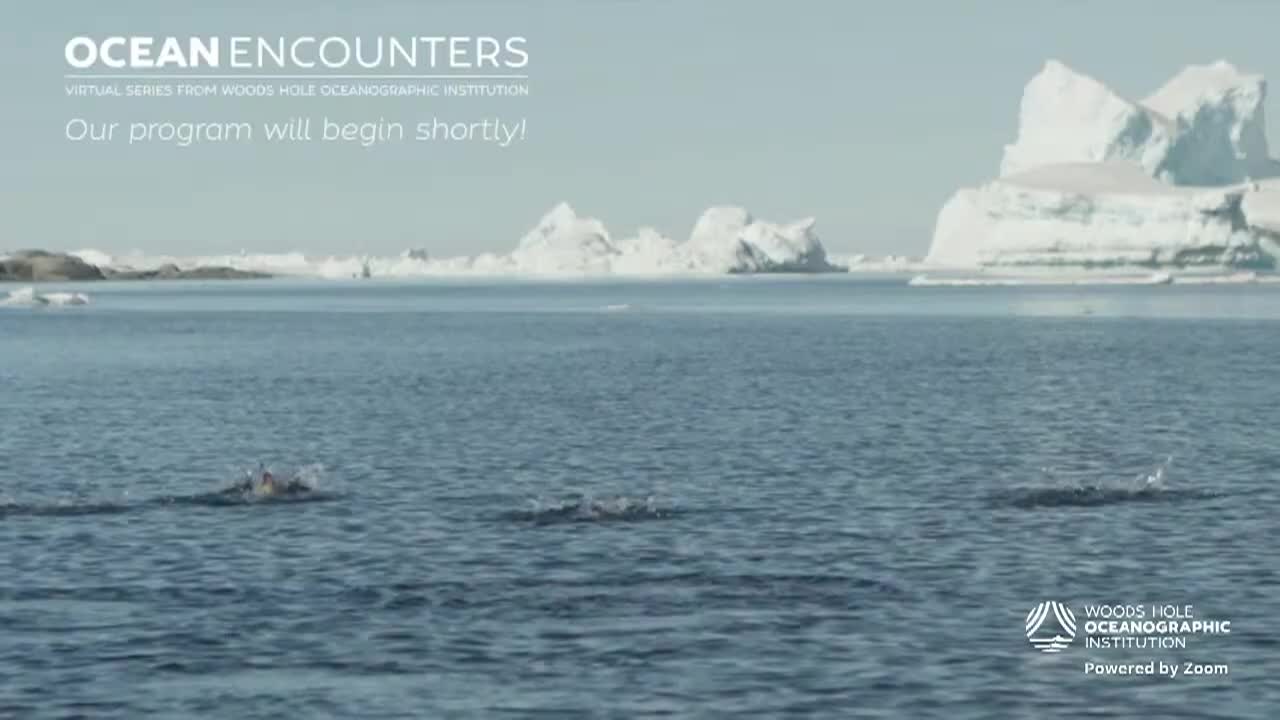 Thumbnail image for Ocean Encounters; Rethinking Ocean Predators