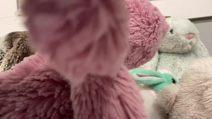 Thumbnail image for Vacation Animation!