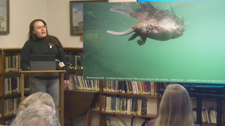 Thumbnail image for WHPL: Partnering With Beavers