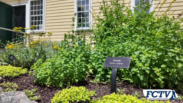 Thumbnail image for FCTV Exclusives: Garden Walk